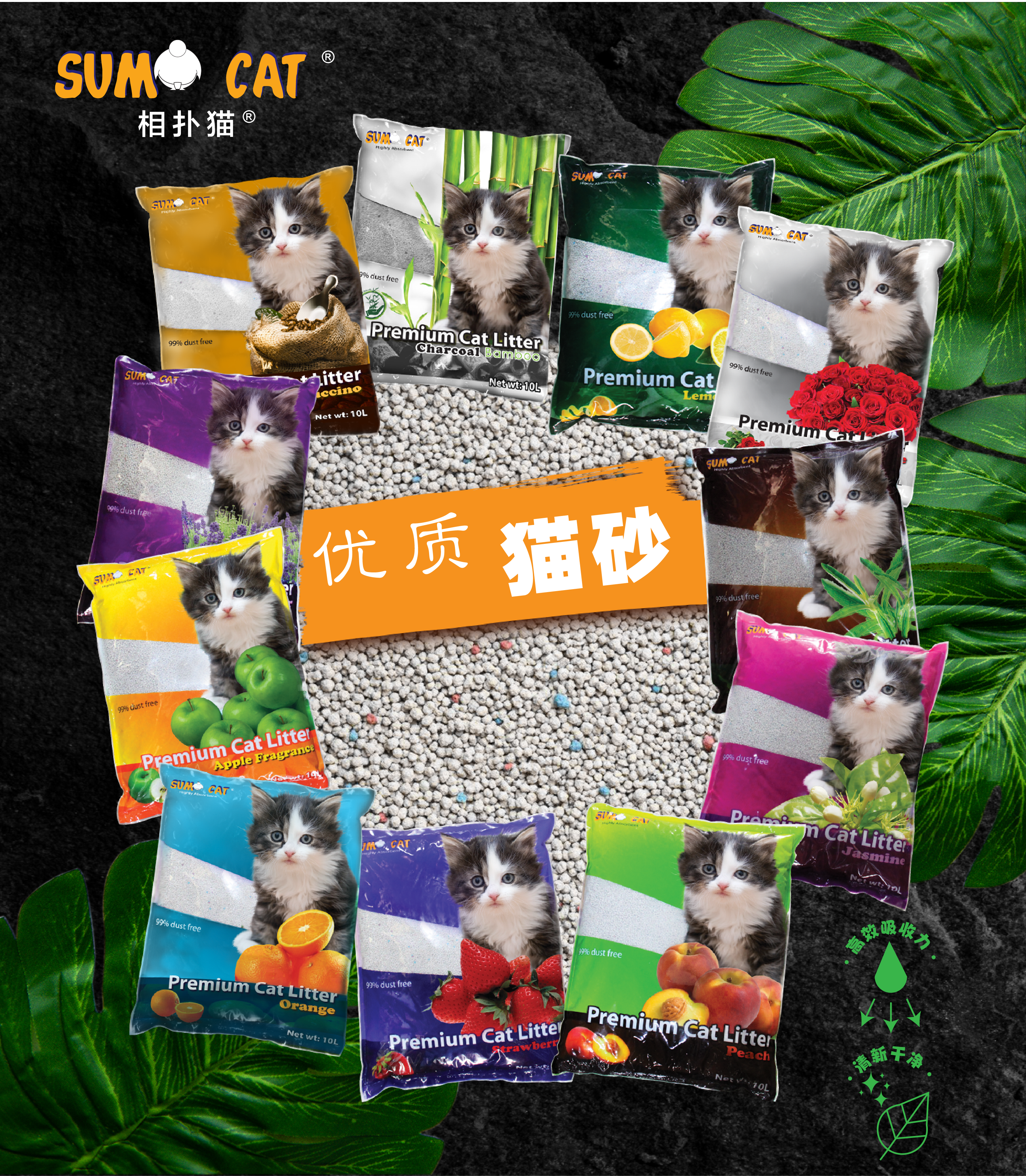 SC Cat Litter Web Post-Chi-01.png